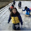 가야산칠불봉야생화마을 이미지