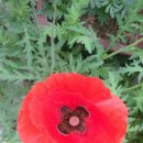 덕은농장 이미지