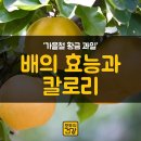 황금과일 이미지