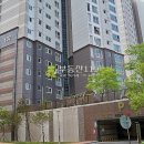 덕명로 이미지