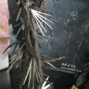 톡톡공작실