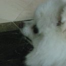 𝑨𝒖𝒈𝒖𝒔𝒕 ฅ🐾