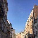 마이몽몽 이미지