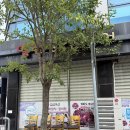 일품풍천장어 | 전주 일품풍천장어 점심특선 장어정식 내돈내산 가성비 후기