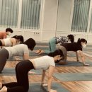 요가소도구필라테스C 이미지