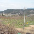 산정농원 이미지