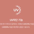 아이리스 안경 이미지