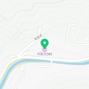 어뮤즈 545 이미지