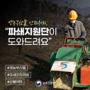 도안대한민국공인중개사사무소 이미지