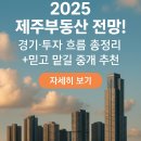 제주체크부동산중개 | 2025 제주부동산 전망! 경기,투자 흐름 총정리 (+믿고 맡길 중개 추천)