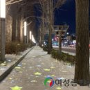 송현로 이미지