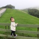 선미목장 이미지