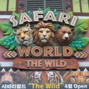 윤호전기 | 에버랜드 사파리 더 와일드 재개장 | 튤립축제·서커스·입장료 할인 총정리