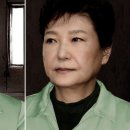 수인펫 이미지