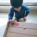 (주)디에스피앤이