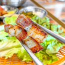 양지-1 이미지