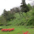 장도공원 이미지