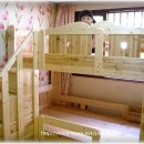 조은이네 이미지