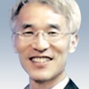 감사나무 이미지