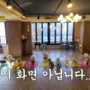 아껴줄개 이미지