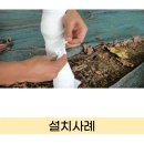 트리케어
