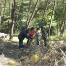 하늘농장2 이미지