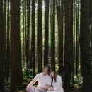 제주도 만삭 스냅 시기, 준비물 촬영 후기 : 택하다제주