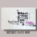 마담캘리 이미지