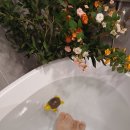 혼목쌀롱 이미지