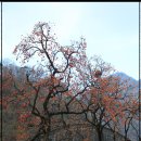 남도1번지 이미지