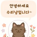 이마트 순천점 주변도로 | 순천 팥도리 빙수 후기 | 망고빙수·팥빙수 제대로 맛본 날