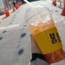 미스사이공성남점 이미지