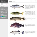 서해대교바다낚시터 이미지