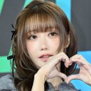 마젠타 이미지