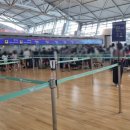 타이라오 이미지