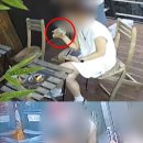 탄모텔 이미지