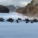 (주)HJ매그놀리아용평호텔앤리조트