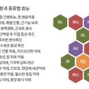 효도농장 이미지
