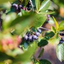 덕평경로당 이미지