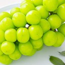 집밥한그릇 이미지