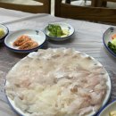 산호횟집 | 영도 하리 회센터 산호횟집 방문 후기🍽 회 양 많고 위생 깔끔한 단체모임 맛집!
