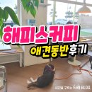 포항여남카페 해피스커피 애견동반으로 다녀온 후기