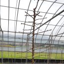 시후농장 이미지