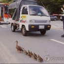 미주세탁소 이미지