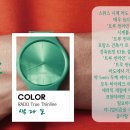 트루라인 이미지