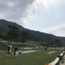 승주목장 네이버블로그