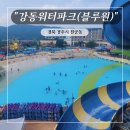 경주 가볼만한곳 강동워터파크(구. 블루원) 푸드트럭과 스낵코너 메뉴, 놀이기구 이용 후기