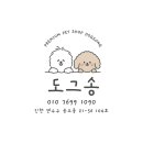송도그 이미지