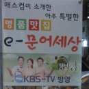 이문어세상 이미지