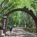 경기도 부천시 성주산 성무정공원 맨발길 여행. 이미지